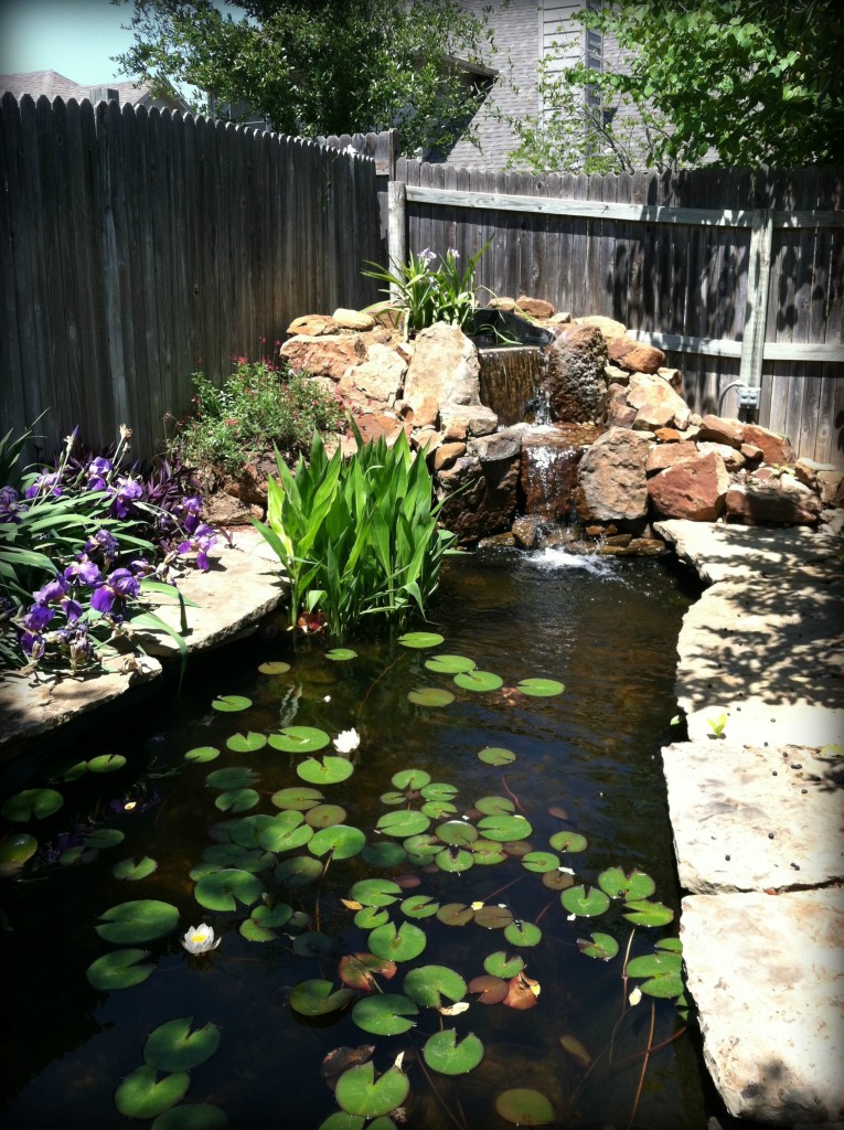 Water Gardens Gallery | Sublime Water Gardens