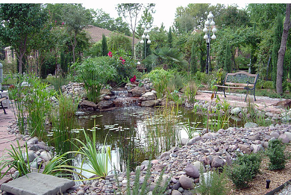 Water Gardens Gallery | Sublime Water Garden