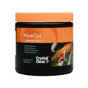 Buy WipeOut – Bacterial Control Sublime Water Garden